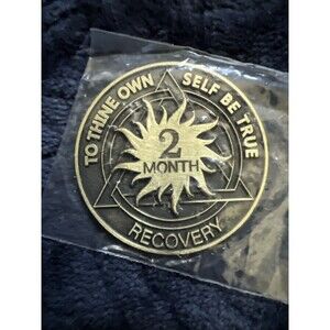 2 Month AA Bronze Sun Serenity Prayer Coin Chip Recovery Anniversary Token